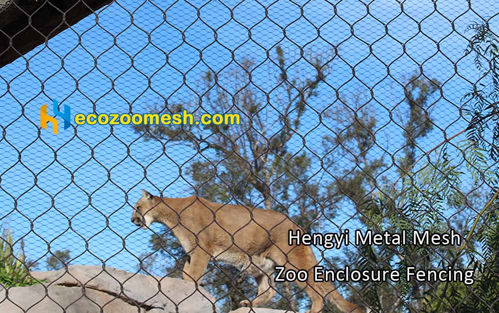 Zoo Enclosure Fencing ecozoomesh Zoo Mesh SupplierHengyi