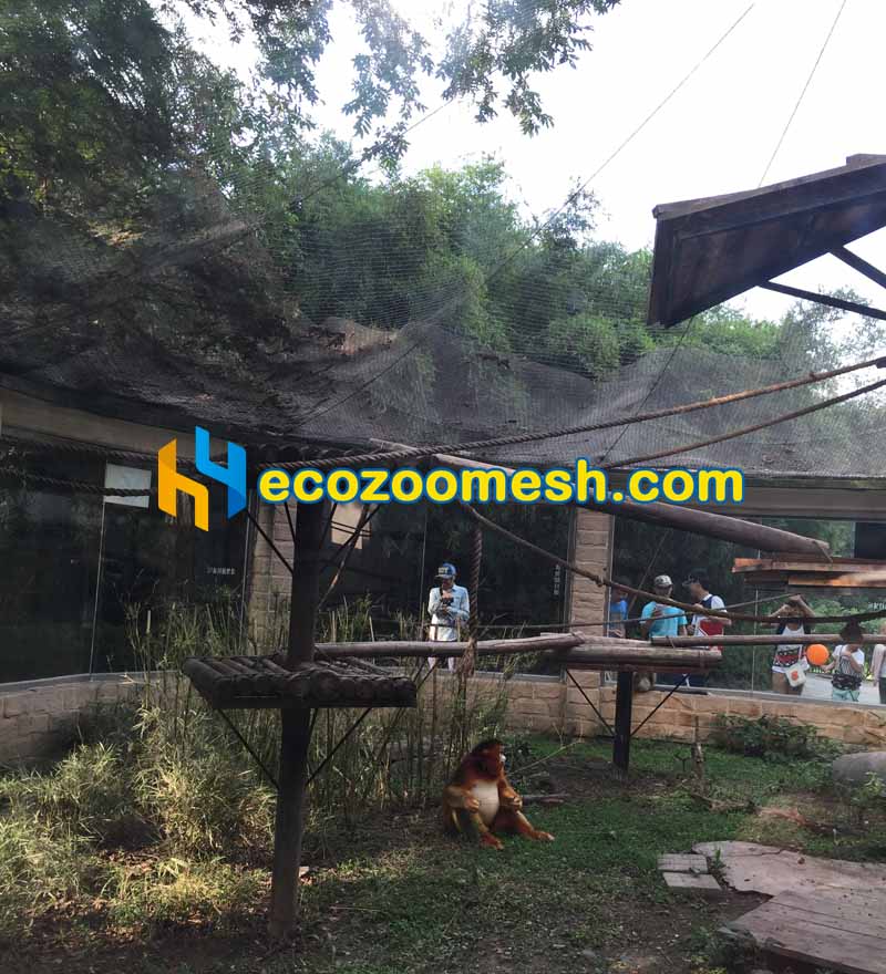 golden monkey exhibit tree crowned roof net